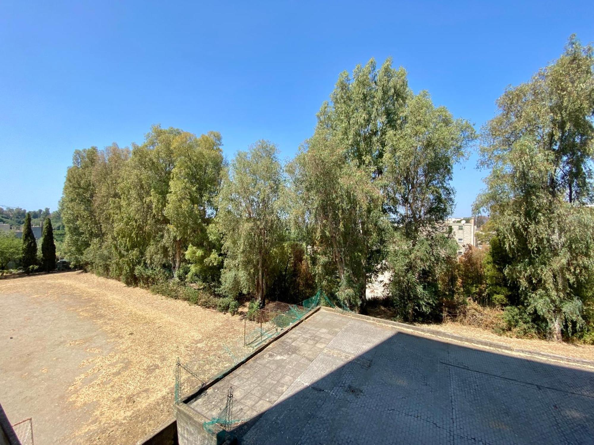 Grande Rifugio - Zona Eur Appartamento Roma